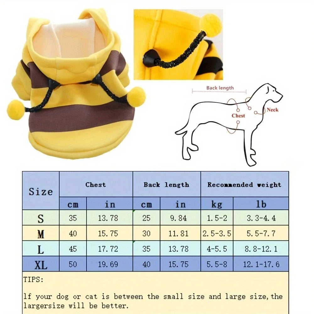 Diabild