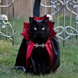 Halloween Pet Costume Dogs & Cats