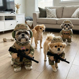 Halloween Pet Costume Dogs & Cats