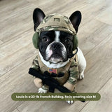 Halloween Pet Costume Dogs & Cats